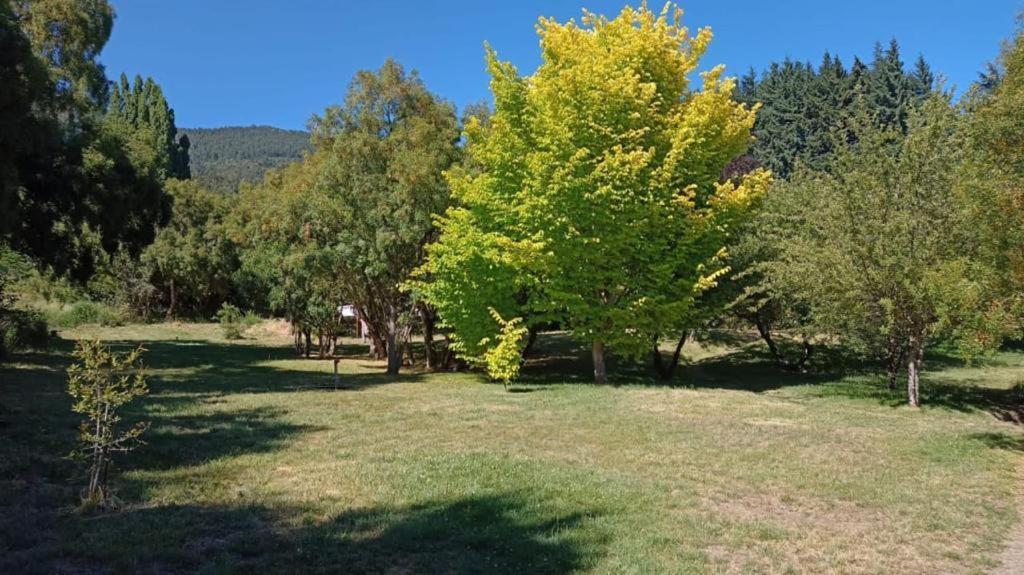 Rupu Pehuen Aparthotel San Carlos de Bariloche Luaran gambar