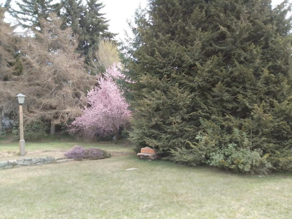Rupu Pehuen Aparthotel San Carlos de Bariloche Luaran gambar
